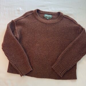 American Eagle Outfitters Chestnut Knit Sweater